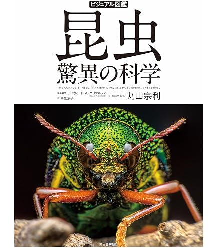 Amazon.co.jp: 【UVカット】小型ドイツ型標本箱（黒） : おもちゃ